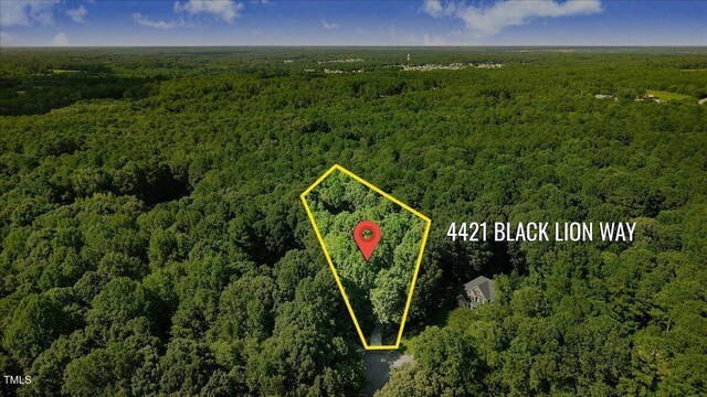 4421 Black Lion Way, Raleigh, NC 27610 - photo 42
