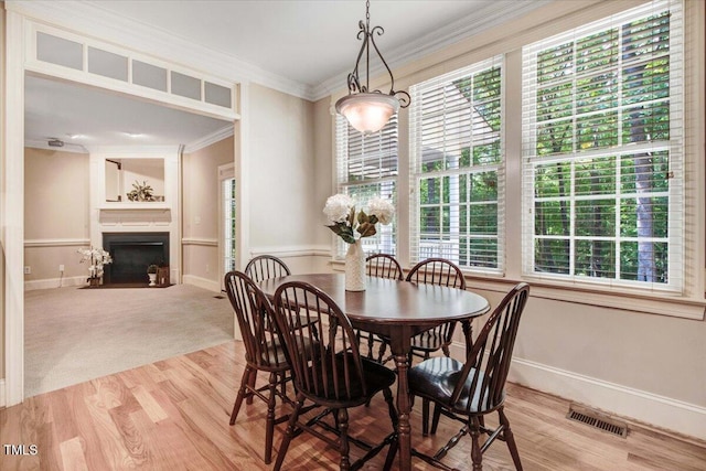 4421 Black Lion Way, Raleigh, NC 27610 - photo 11