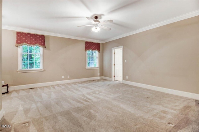 4421 Black Lion Way, Raleigh, NC 27610 - photo 16