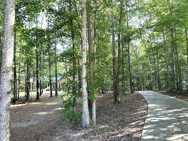 4421 Black Lion Way, Raleigh, NC 27610 - photo 2