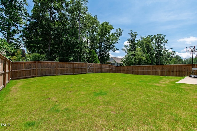 120 Purple Aster St, Youngsville, NC 27596 - photo 39