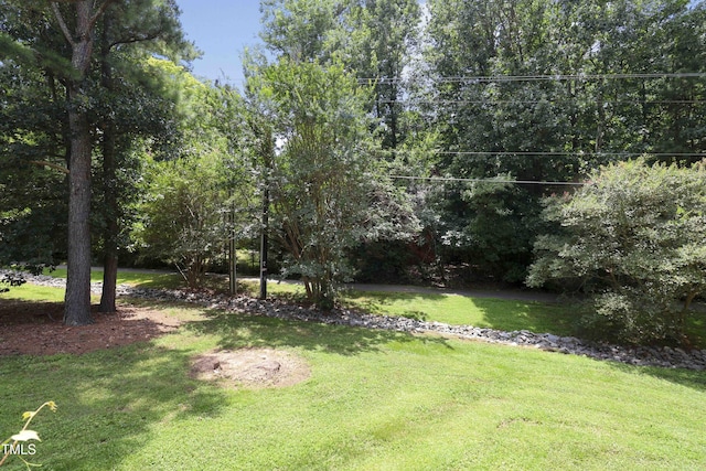 517 Woodwinds Dr, Durham, NC 27713 - photo 43