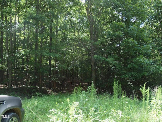 1540 S NC Highway 61, Whitsett, NC 27377 - photo 3