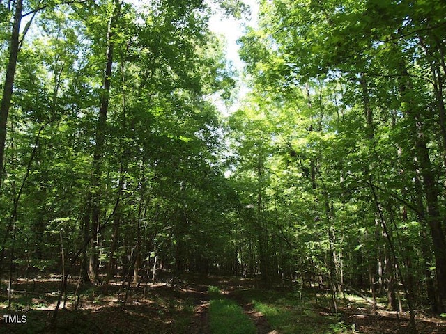 1540 S NC Highway 61, Whitsett, NC 27377 - photo 4