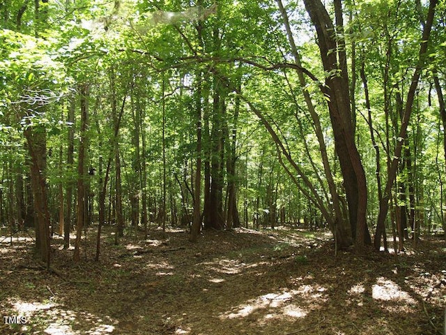 1540 S NC Highway 61, Whitsett, NC 27377 - photo 6