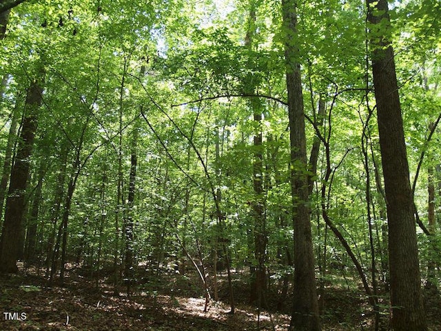 1540 S NC Highway 61, Whitsett, NC 27377 - photo 5