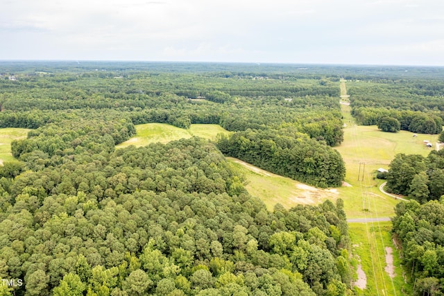 921 E Horton St, Zebulon, NC 27597 - photo 4