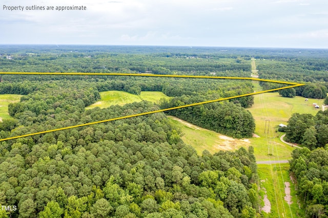 921 E Horton St, Zebulon, NC 27597 - photo 3