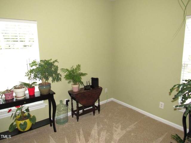 910 Woodland Rd, Creedmoor, NC 27522 - photo 17