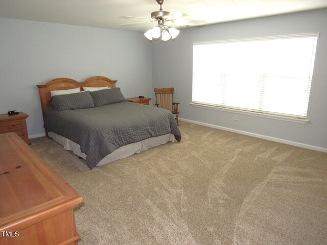 910 Woodland Rd, Creedmoor, NC 27522 - photo 19