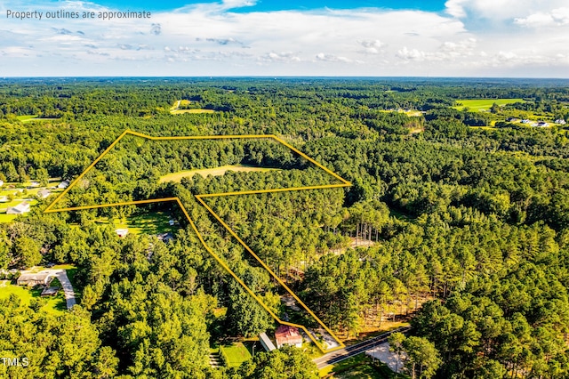 0 Henry Baker Rd, Zebulon, NC 27597 - photo 6