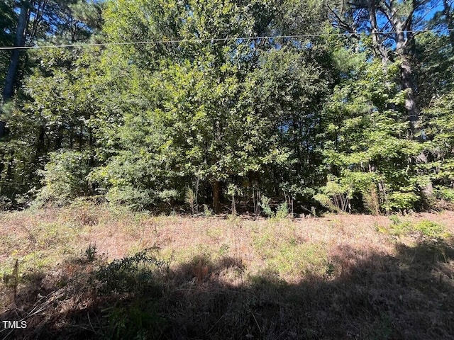 0 Crump Rd, Raleigh, NC 27606 - photo 4
