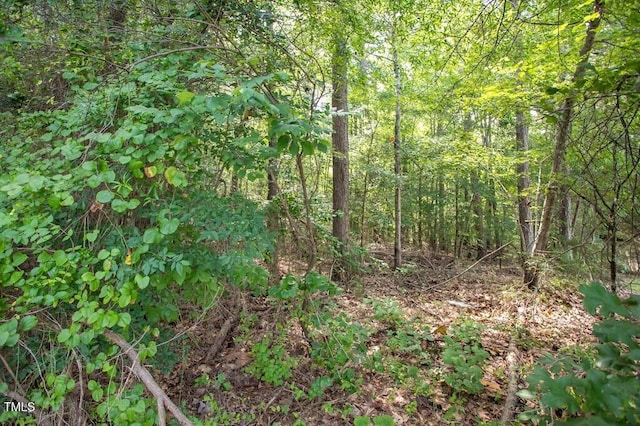 00 Stone Dr, Roxboro, NC 27573 - photo 25