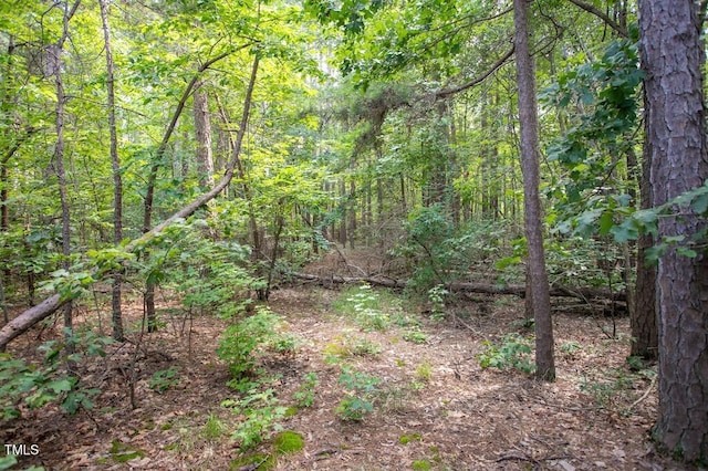 00 Stone Dr, Roxboro, NC 27573 - photo 26