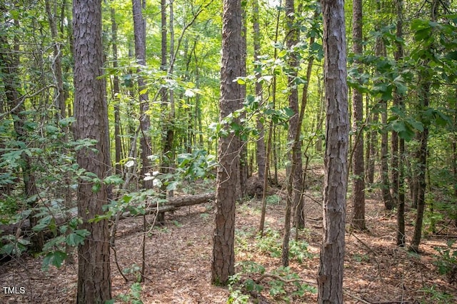 00 Stone Dr, Roxboro, NC 27573 - photo 27