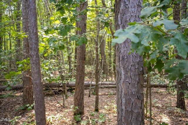 00 Stone Dr, Roxboro, NC 27573 - photo 29