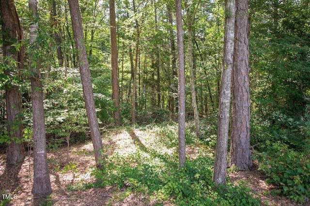 00 Stone Dr, Roxboro, NC 27573 - photo 32