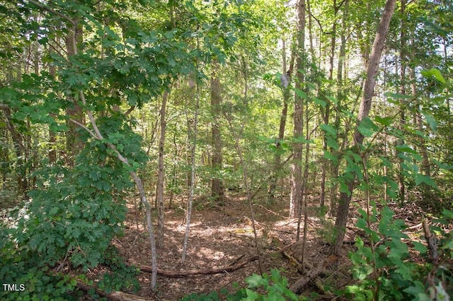 00 Stone Dr, Roxboro, NC 27573 - photo 33