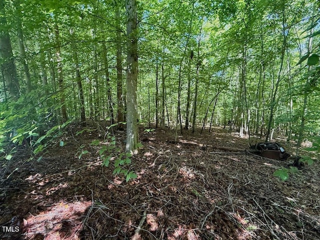 00 Stone Dr, Roxboro, NC 27573 - photo 35