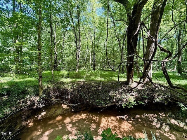 00 Stone Dr, Roxboro, NC 27573 - photo 43