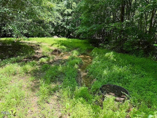 00 Stone Dr, Roxboro, NC 27573 - photo 50