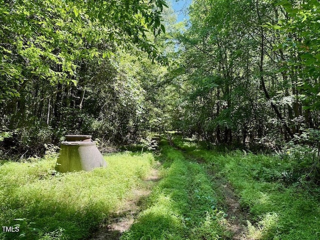 00 Stone Dr, Roxboro, NC 27573 - photo 54