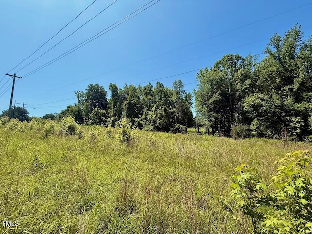 00 Stone Dr, Roxboro, NC 27573 - photo 58
