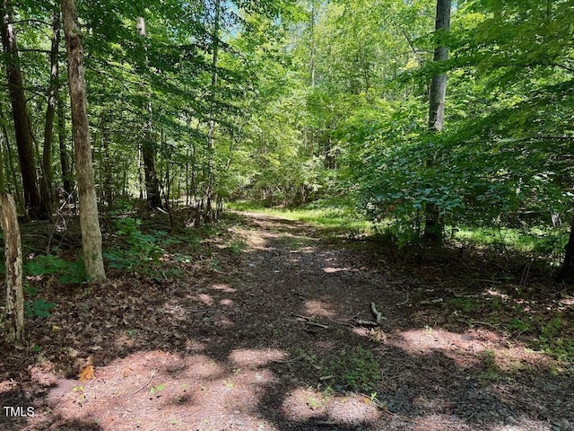 00 Stone Dr, Roxboro, NC 27573 - photo 63