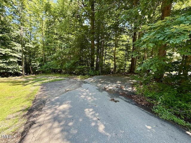 00 Stone Dr, Roxboro, NC 27573 - photo 64