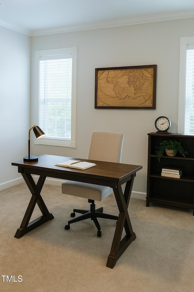 118 Grande Meadow Way, Cary, NC 27513 - photo 37