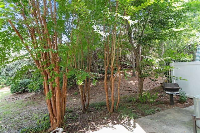 118 Grande Meadow Way, Cary, NC 27513 - photo 45