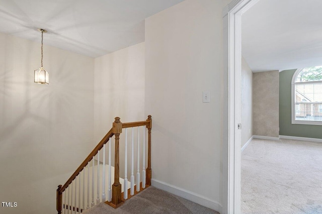 118 Grande Meadow Way, Cary, NC 27513 - photo 23