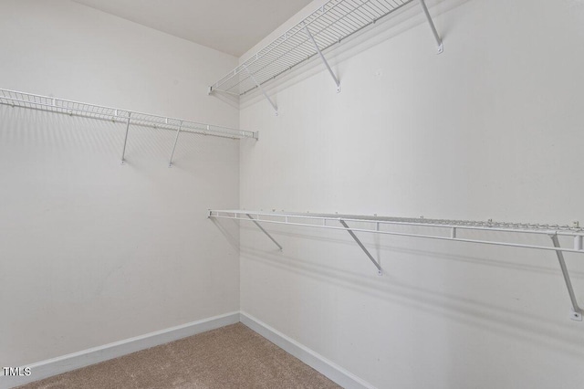 118 Grande Meadow Way, Cary, NC 27513 - photo 42