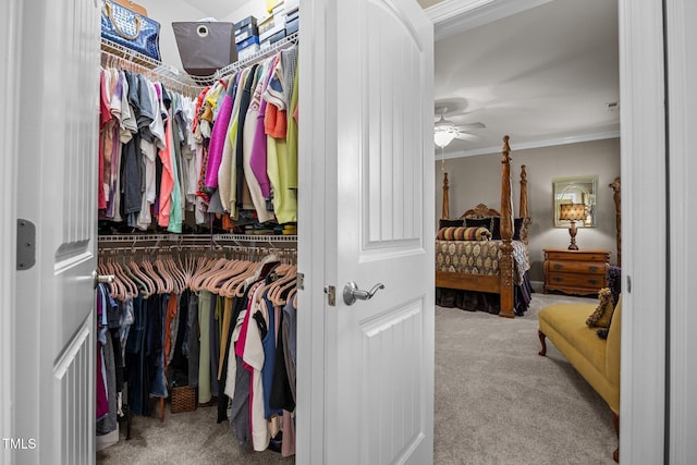2505 Goldeneye Ct, Raleigh, NC 27606 - spacious closet with carpet and ceiling fan