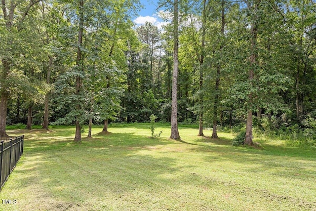 113 Linden Ct, Garner, NC 27529 - photo 52