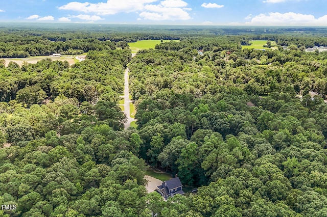 6600 Willow Chase Dr, Willow Springs, NC 27592 - photo 52