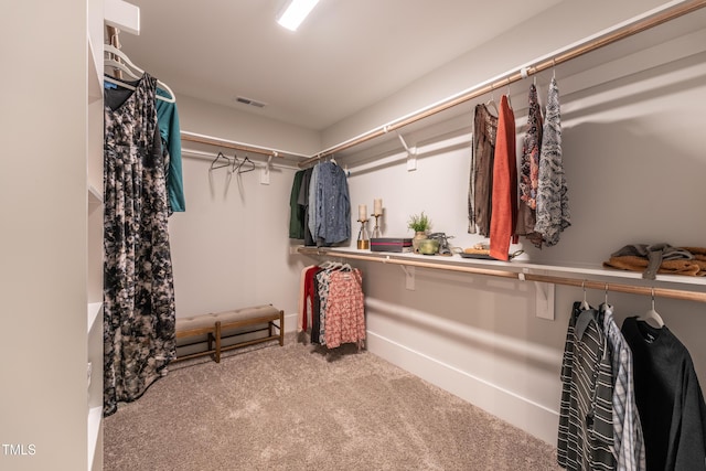 249 Dona Dr, Carthage, NC 28327 - spacious closet featuring carpet floors