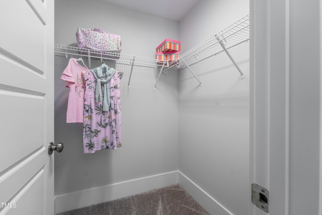 249 Dona Dr, Carthage, NC 28327 - spacious closet with carpet flooring