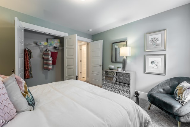 249 Dona Dr, Carthage, NC 28327 - bedroom with a closet and carpet flooring