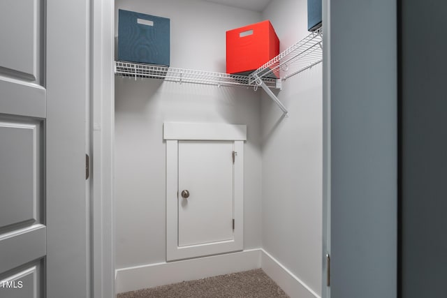 249 Dona Dr, Carthage, NC 28327 - walk in closet with carpet flooring