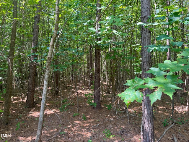 0 Garrett Farm Rd, Stem, NC 27581