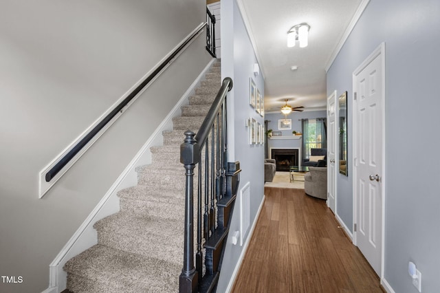 29 Citation Dr, Durham, NC 27713 - photo 20