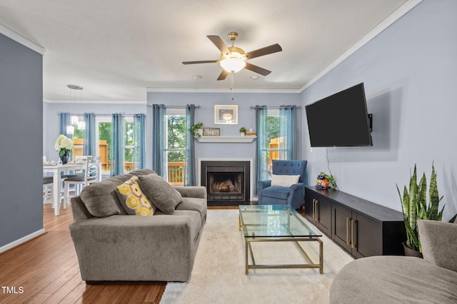 29 Citation Dr, Durham, NC 27713 - photo 6