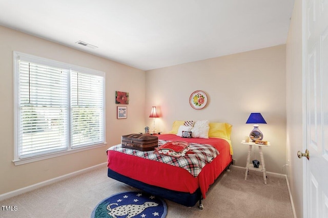 1741 Farmington Grove Dr, Raleigh, NC 27614 - photo 38