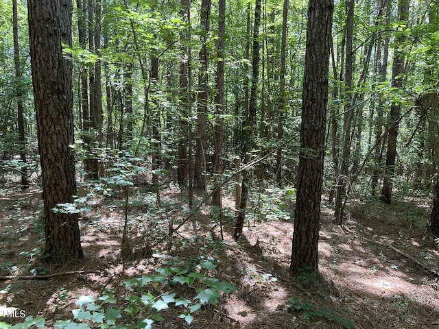 21.04 Bennett Rd, Creedmoor, NC 27522 - photo 2