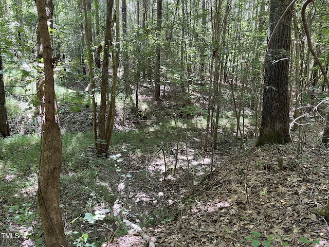 21.04 Bennett Rd, Creedmoor, NC 27522 - photo 3
