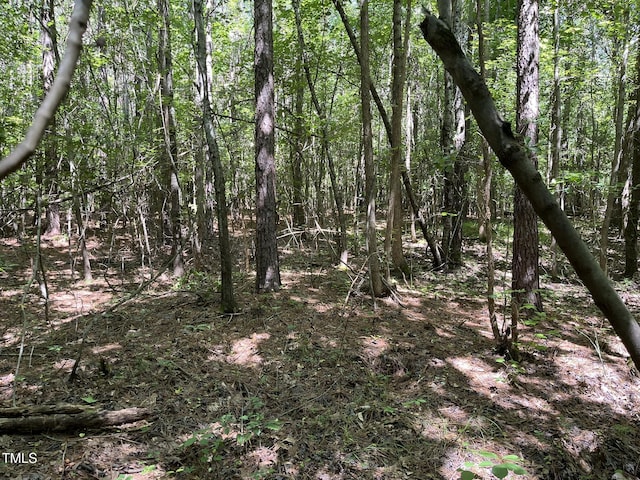 21.04 Bennett Rd, Creedmoor, NC 27522 - photo 4