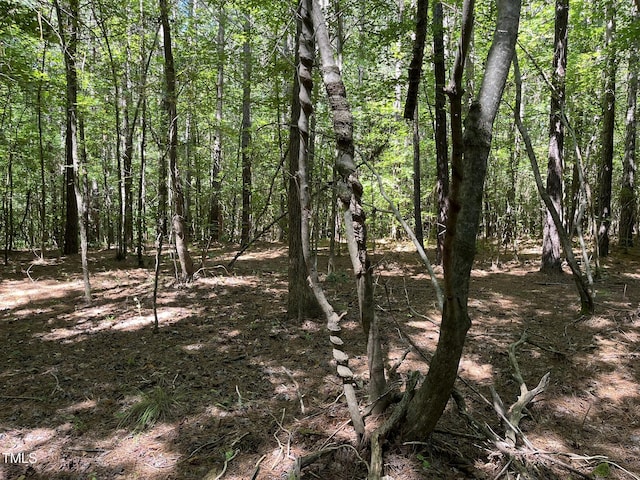 21.04 Bennett Rd, Creedmoor, NC 27522 - photo 5