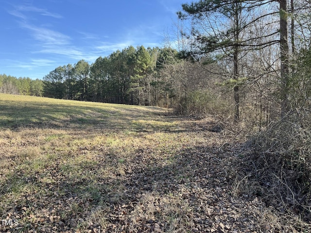 21.04 Bennett Rd, Creedmoor, NC 27522 - photo 9