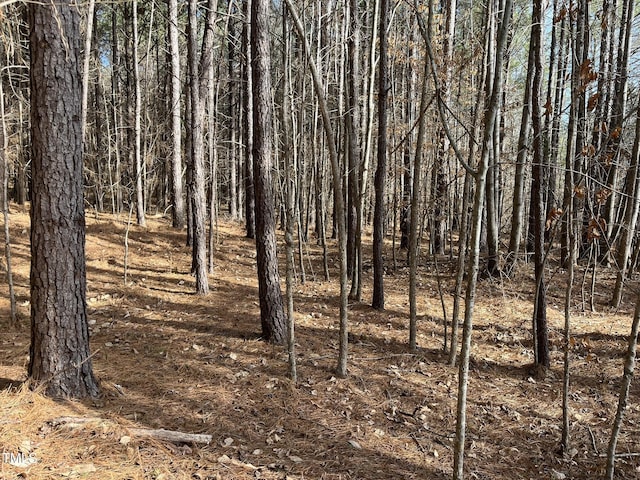 21.04 Bennett Rd, Creedmoor, NC 27522 - photo 11